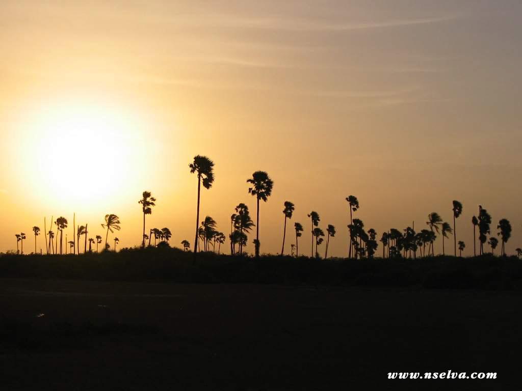 Sai Holiday Inn Jaffna Esterno foto